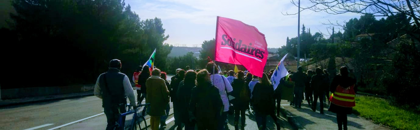 manif solidaires foret vert